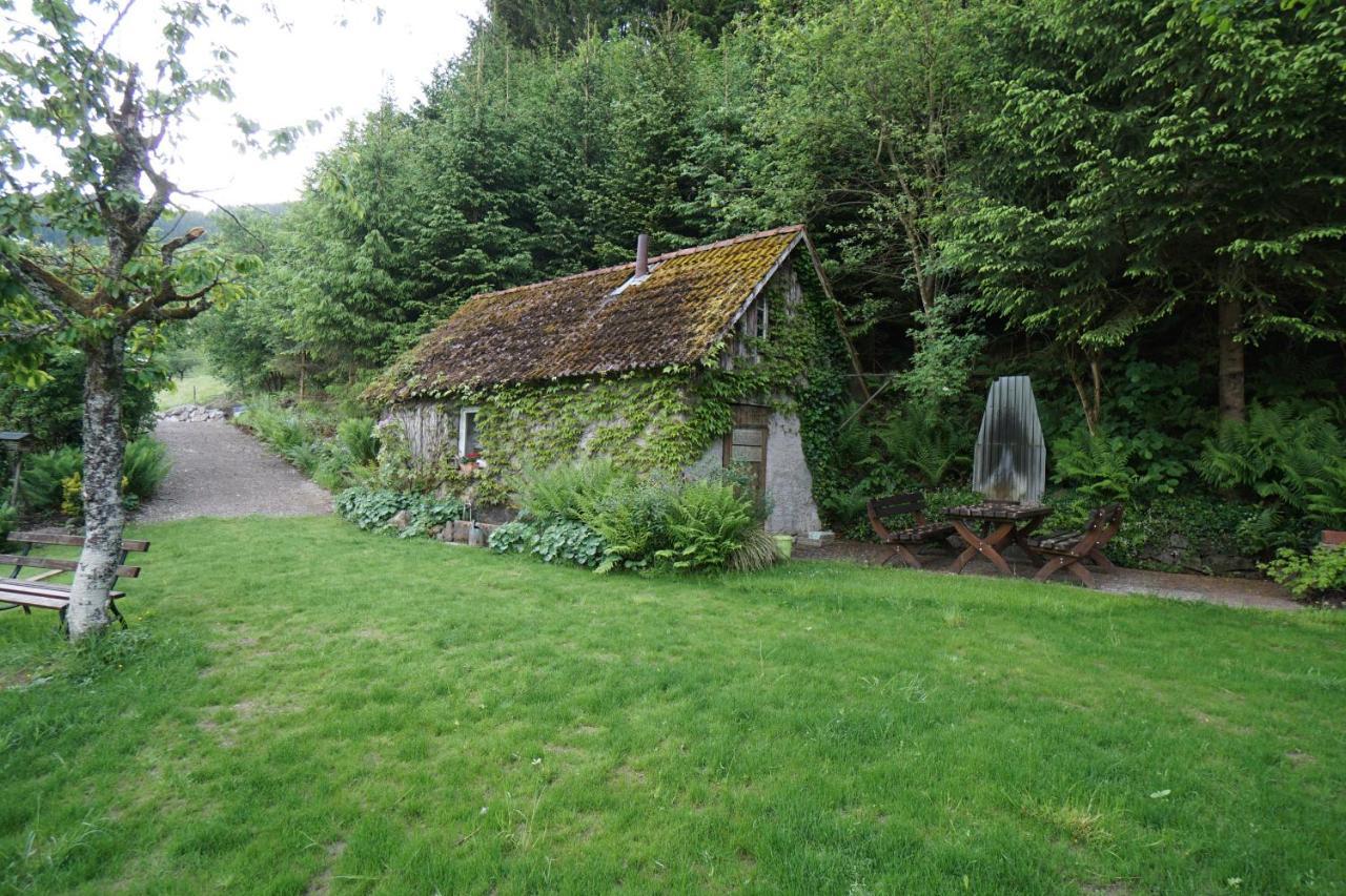 Gummeneck - Stubenhof, Black Forest Simonswald Dış mekan fotoğraf